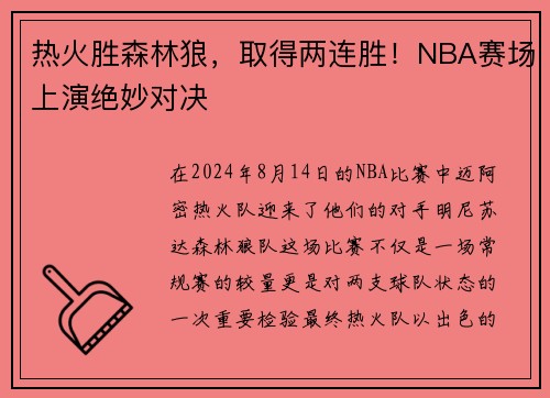 热火胜森林狼，取得两连胜！NBA赛场上演绝妙对决
